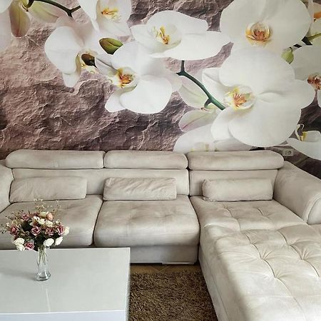 Sunkissed Centre Apartment Vlorë 외부 사진