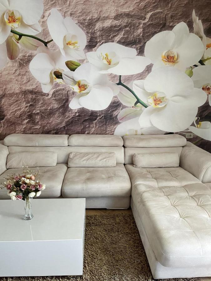 Sunkissed Centre Apartment Vlorë 외부 사진